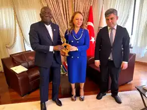 Türk Şirketleri Gambiya'da Projelere Katılacak